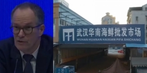 世衛排除病毒來自武漢實驗室 美國：盼獨立審查數據