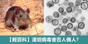 【輕百科】陝西男子病發身亡惹恐慌 漢坦病毒會否人傳人？