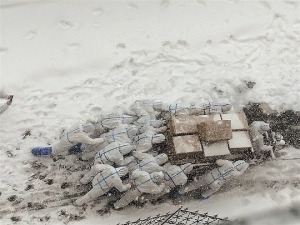 【大陸疫情】河北新增51例3官員被問責　大連志願者逆雪而行