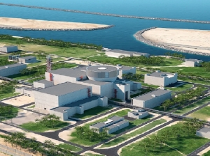 韓獲埃及核電站合同　將與俄公司合作建設