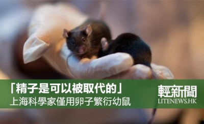 上海科學家利用兩顆卵子產健康幼鼠
