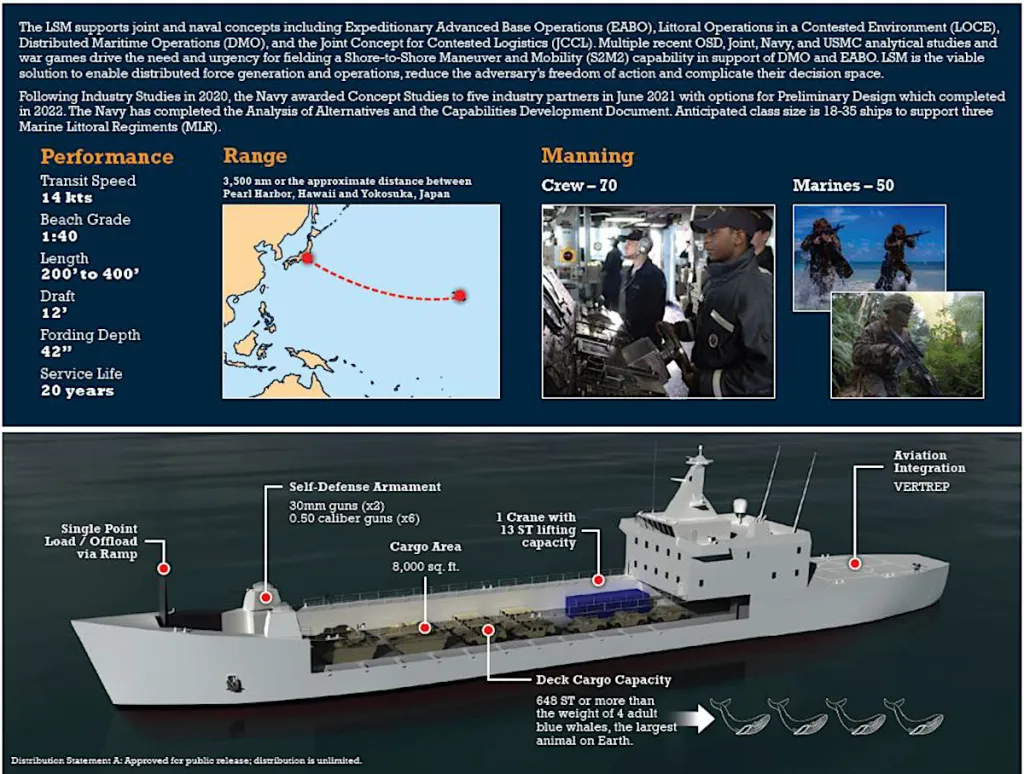 lsm infographic