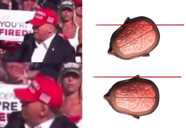 451359832 3676530739328408 6118317292586437057 n