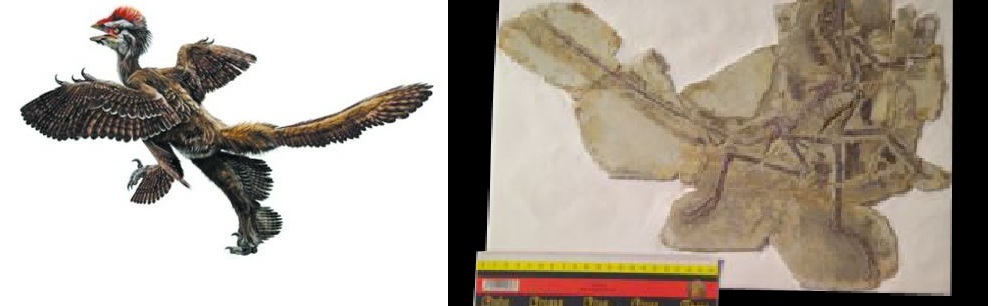 1664C