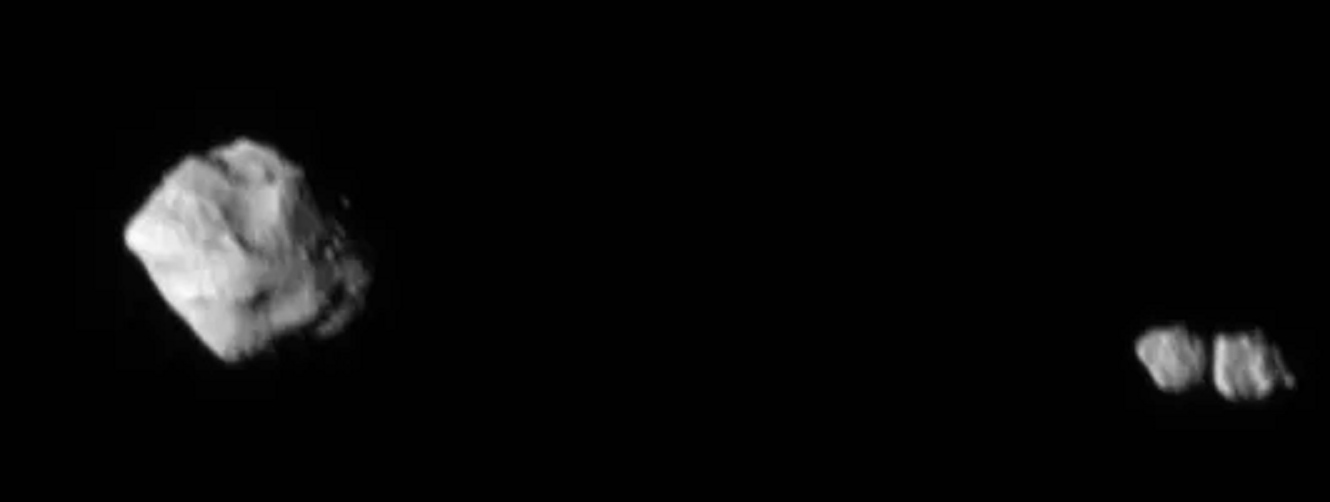 Dinkinesh family portrait 2