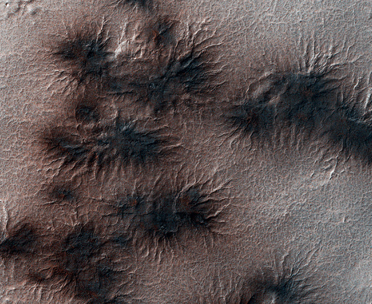 ESP 028910 0985