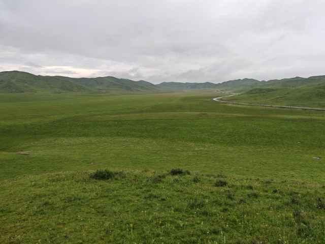 ＡＡ１９