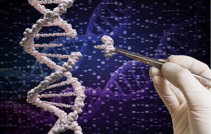 CRISPR